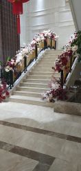 -禾丽康美医疗美容医院