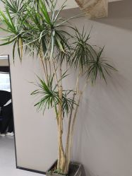 -宫铭烫发染发接发店