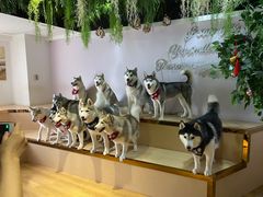-Husky Go! 哈士奇体验馆·宠物咖啡厅狗咖