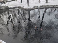 -水磨沟公园