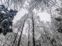 -庐山风景名胜区