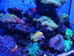 -多彩贵州城极地海洋世界