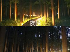 -上海怡沁园度假酒店