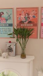 -Dr.林醫生产后修复·超级店(南京江宁同曦店)