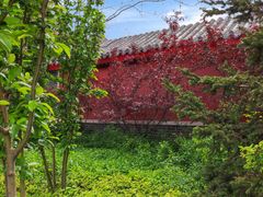 -天津妈祖文化园