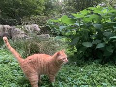 -成都市活水公园