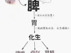 -裕和堂中医推拿艾灸(太古汇臻品店)