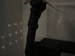 -酷以爬仙阁实体爬宠店·守宫·蜥蜴·专业繁育