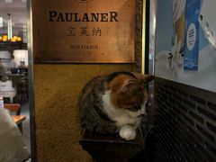 -宝莱纳餐厅(滨江店)