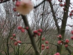 -蜀冈西峰生态公园