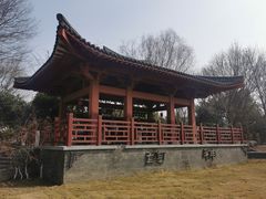 -武汉园博园(武汉自然博物馆)