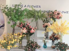 -Blue Concept Cafe&Farm·關於藍