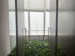 -上海柏悦酒店