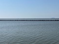 -合肥滨湖国家森林公园