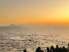 -深圳湾公园(南山区)