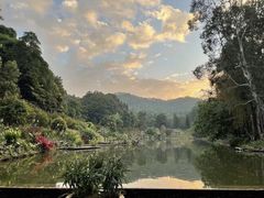 -深圳仙湖植物园