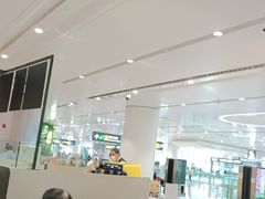 -麦当劳(北京大兴机场二层国内到达(安检外)店)