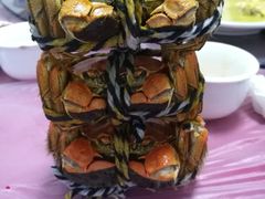 -乡乐园蟹庄·阳澄湖农家乐