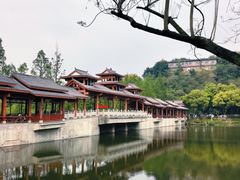 -重庆彩云湖湿地公园