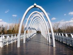 -大兴滨河森林公园