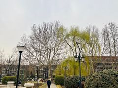 -睦南公园