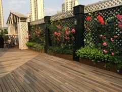 -上海月星家居(澳门路店)