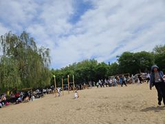 -大兴滨河森林公园