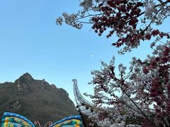 -高岚大峡谷旅游度假区