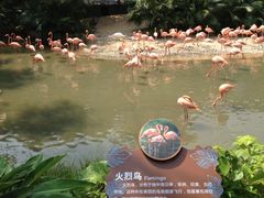 -东部华侨城