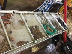 -罗源湾8号渔排