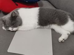 -天津市黄河医院