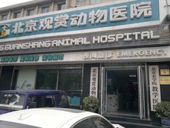 门面-北京观赏动物医院·24小时大型综合·猫专科·异宠专科