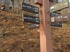-南京老山国家森林公园