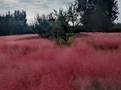 -汉长安城未央宫国家考古遗址公园