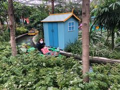 -南宫五洲植物乐园