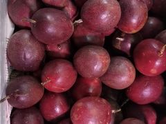 -双福水果批发市场