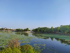 -长春市南湖公园