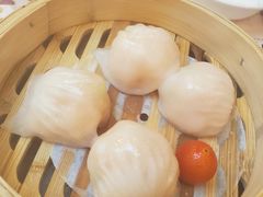 金牌虾饺皇-点都德(千灯湖环宇城店)
