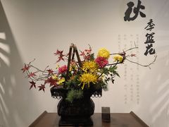 -南宫五洲植物乐园