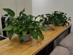 -名表维修服务中心(信兴广场地王大厦店)