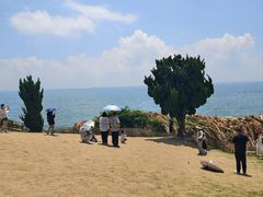 -小麦岛公园