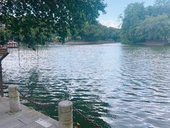 -荔湾湖公园