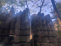 -梭布垭石林景区