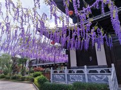 -回辉登偰氏面片(东莲花美食街店)