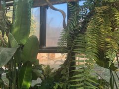 -北马山庄植趣咖啡