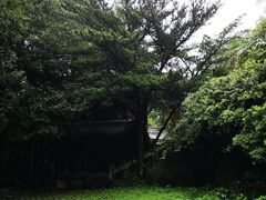 -洪霞餐馆