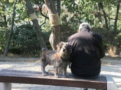 -观象山公园