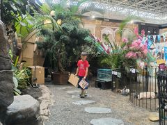 -凯德广场(学府店)