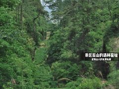 -九曲溪竹筏码头