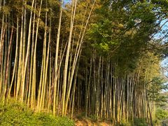 -南北湖风景区